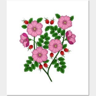 Dog Rose Posters and Art